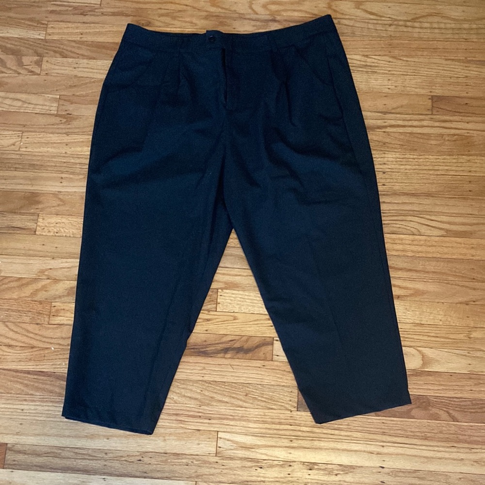 Black Universal Standard 20 ankle length slacks